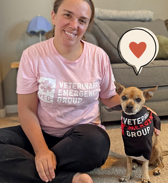 Diabetes Left Sancho on the Brink of Death. A Vet Gave Him a New Home for His Golden Years