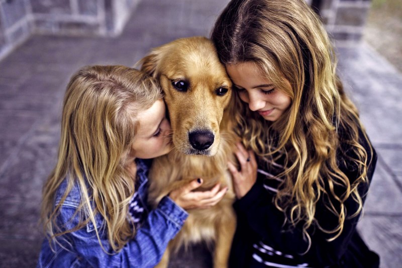 Loyal Golden Retriever Helps Rescuers Find Missing Kiddos as Night Fell in a Louisiana Forest