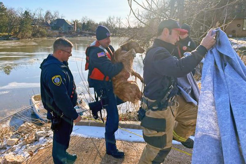 Watch Firefighters Use a Paddle Boat To Rescue a Dog Who’d Fallen Through Some Ice