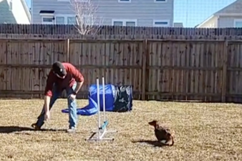 Watch This Dog Dad Entertain His Pup With a Backyard Agility Course in Heartwarming Video