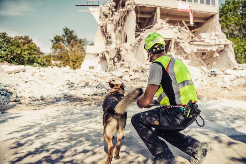 Watch the Moment Rescuers Saved a Dog Who Was Trapped in a Collapsed Home After the Turkey Earthquake