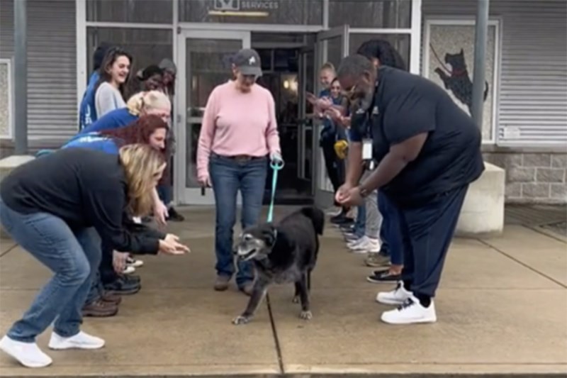 Shelter Staff Gave This Senior Dog a Grand, Tear-Jerking Sendoff. Here’s Why It Was So Special