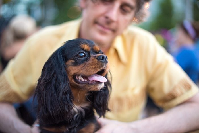 11 Best Emotional Support Dogs