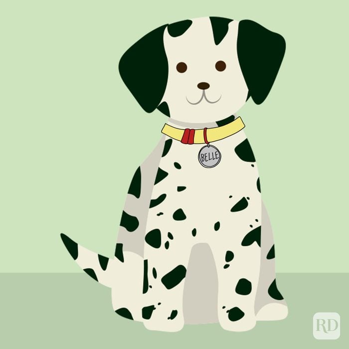 150 Disney-Inspired Names for Your Dog