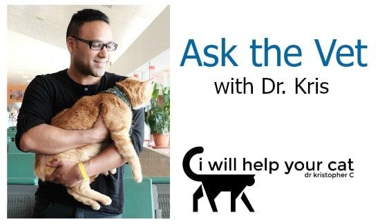 Ask the Vet With Dr. Kris: Cat With Ear Polyp, Vomiting Cat, Cat with Heart Murmur, Wheezing Cat, and More