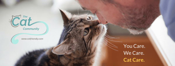 Cat Friendly Practice Program Improves Veterinary Care for Cats, Cat Parents and Veterinary Teams