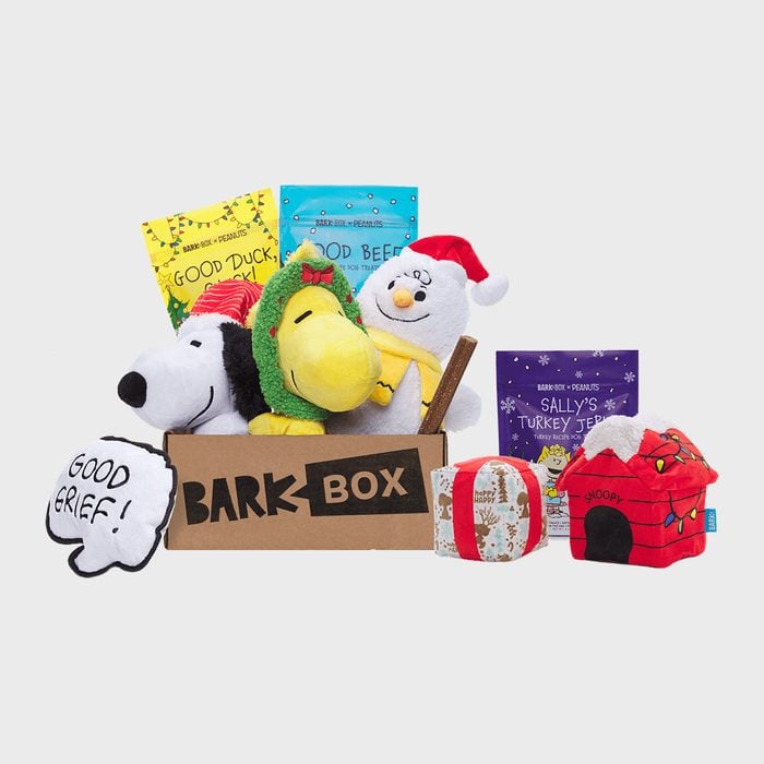 8 Best Dog Subscription Boxes Your Pooch Will Love