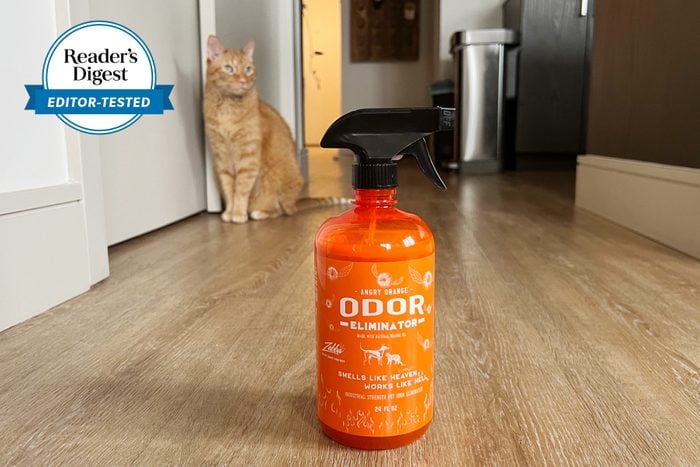 I Tried the Angry Orange Pet Odor Eliminator, and It’s Magic at Removing Stubborn Smells