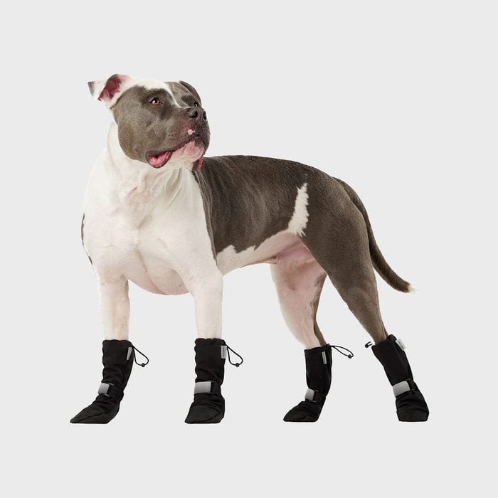 The 6 Best Dog Winter Boots, According to Our Pet Expert