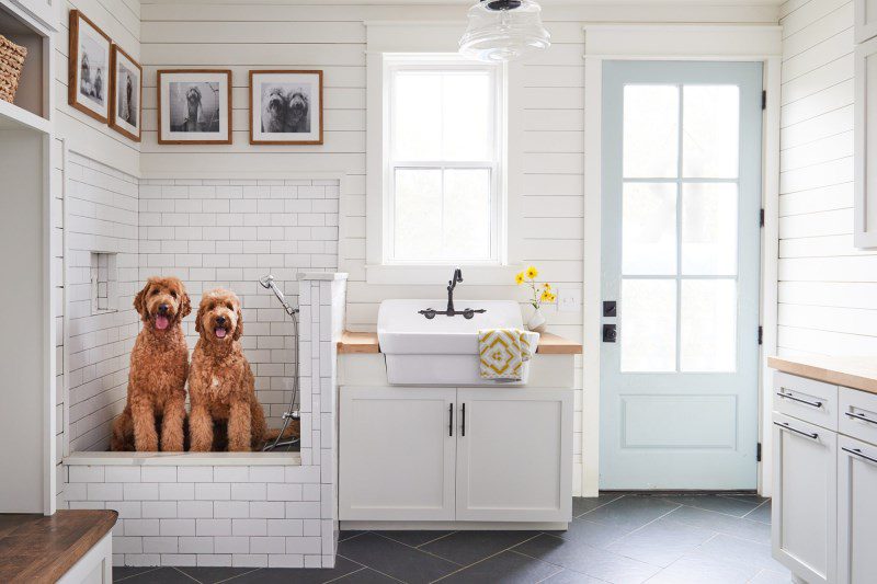 6 Tips from the Pros to Get the Pet Shower of Your Dreams