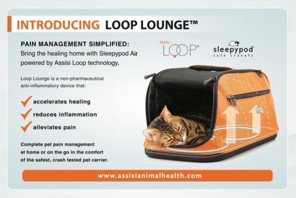 A Revolution in Feline Pain Management: The Assisi Loop Lounge™