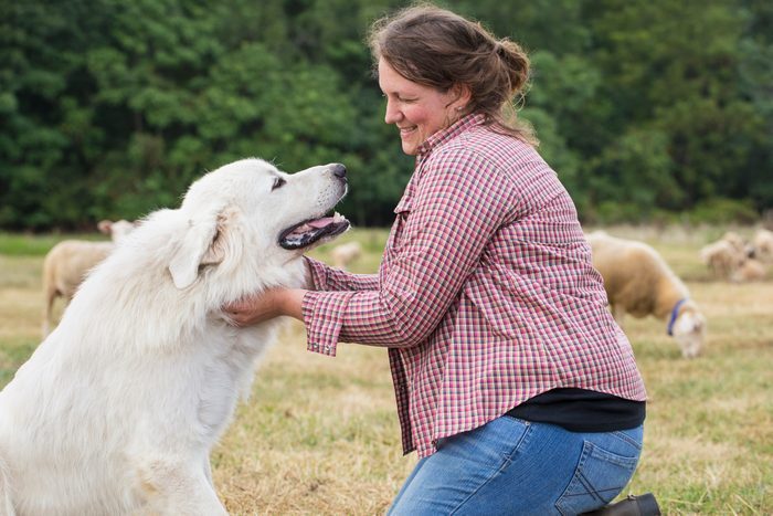 20 Most Loyal Dog Breeds That Will Always Be by Your Side