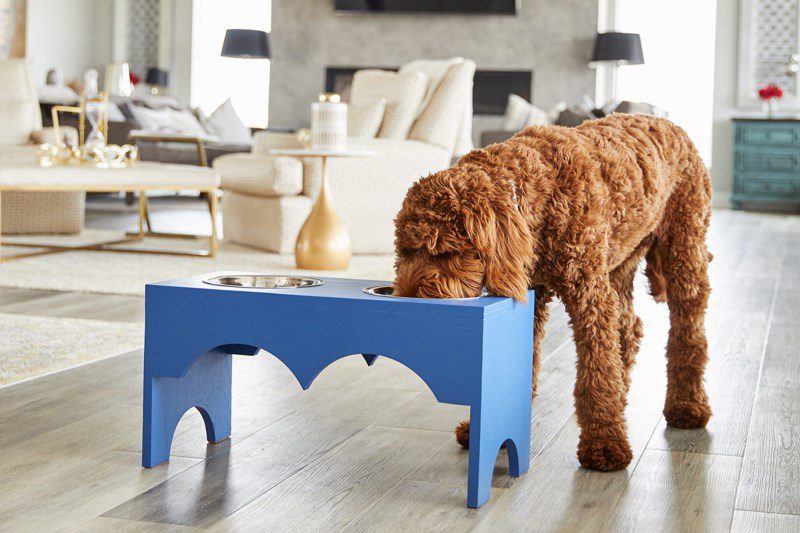 How to Build a DIY Elevated Dog Food Stand