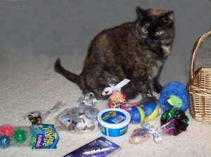 Safe Toys for Your Cat