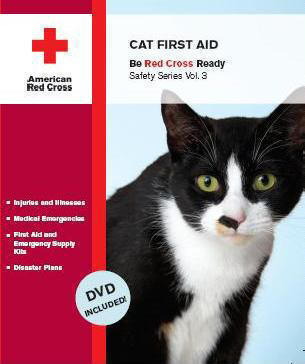 First Aid for Cats