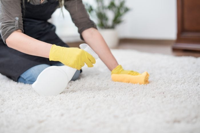 How to Get Dog Poop Out of Carpet