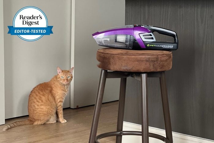 I Tried the Bissell Pet Hair Eraser—the Handheld Vacuum Every Pet Parent Needs