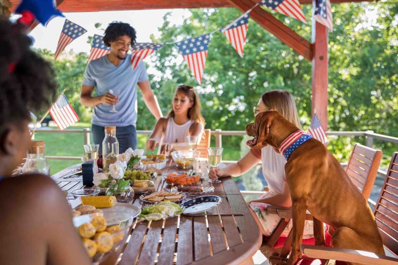 The Ultimate Guide to Fourth of July With Your Dog—How to Stay Safe While Having Fun