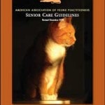 Senior Feline Care Guidelines