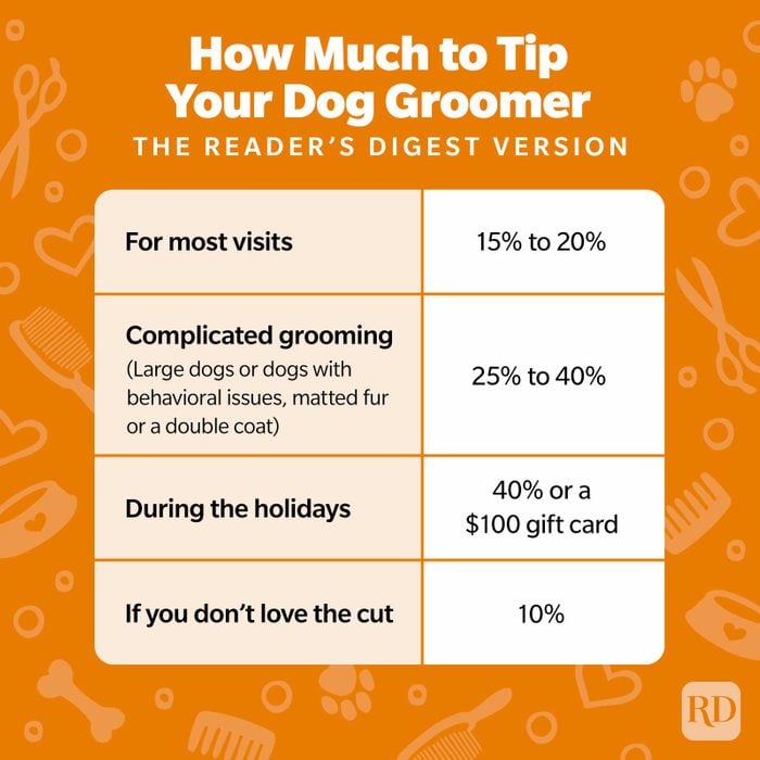 How Much Should You Tip Your Dog Groomer?