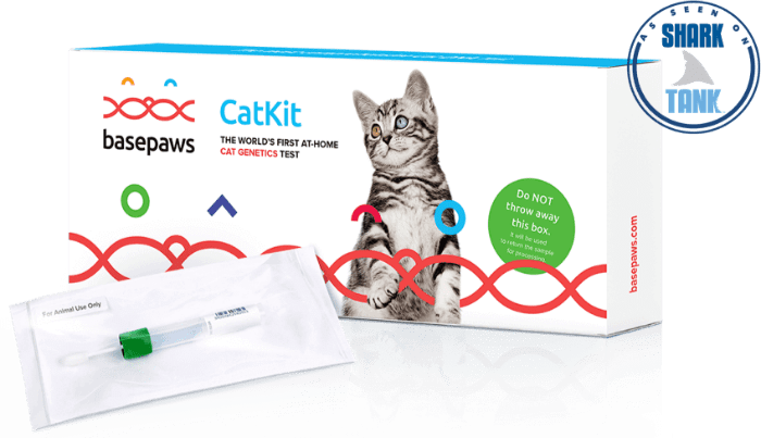 Review: Basepaws Cat DNA Test