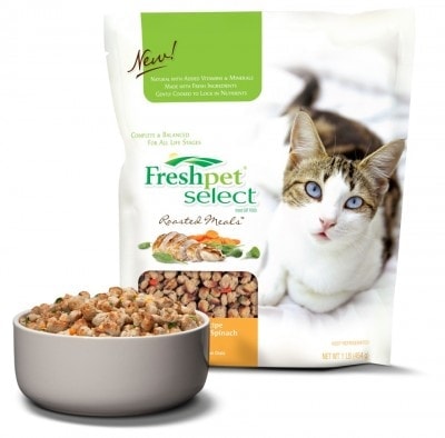 Freshpet Select Cat Food Review 2023: Fresh, Refrigerated Cat Food