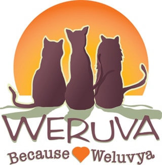 Weruva Cat Food 2023 Review