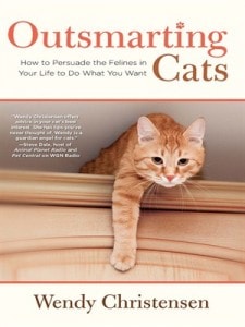 Review: Outsmarting Cats by Wendy Christensen