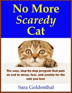 Review: No More Scaredy Cat by Sara Goldenthal