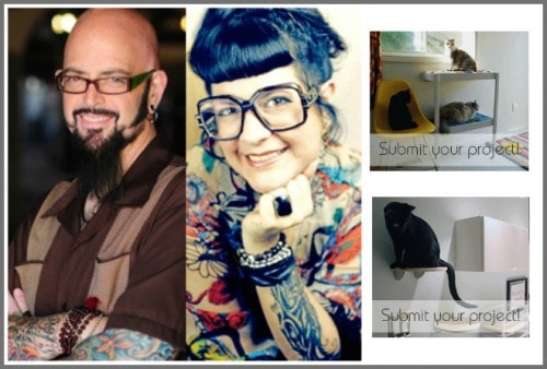 How to Star in Jackson Galaxy and Kate Benjamin’s New Book