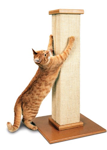 How to Pick the Right Scratching Post for Your Cat