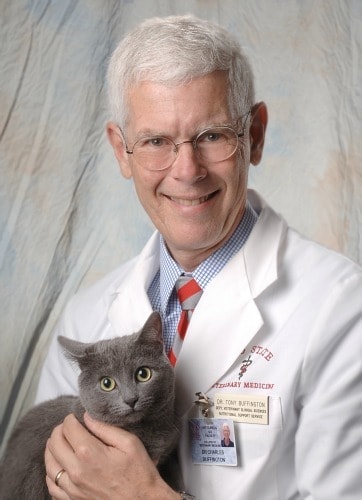 Interview with Dr. Tony Buffington, Champion of Environmental Enrichment for Cats – Part One