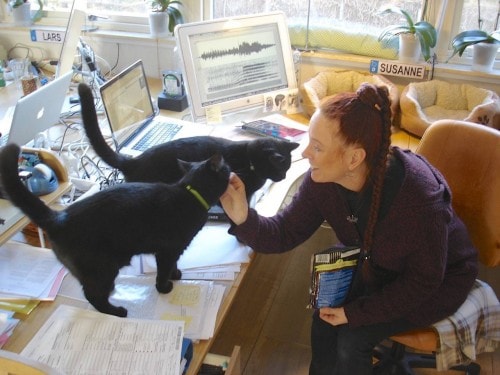 Meowsic: Study Seeks to Understand Human-Cat Communication By Analyzing Cat Sounds