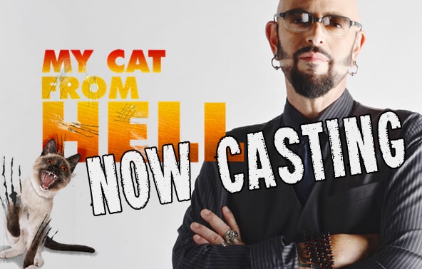 Does Your Cat Need Help From Jackson Galaxy? Now Casting Season 8 of My Cat From Hell