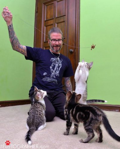 Interview with Cat Consultant Daniel “DQ” Quagliozzi – Part One