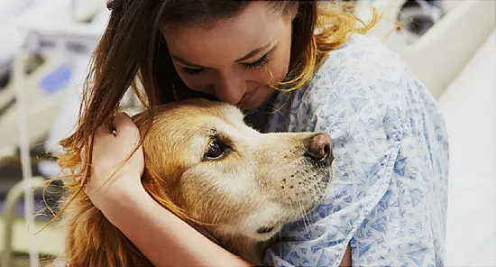 Dogs Chase Away College Students’ Homesickness