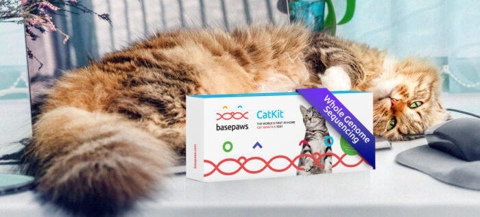 Basepaws Whole Genome Sequencing: Your Cat’s Complete Genetic Information