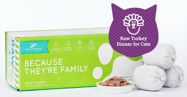 New from Balanced Blends: Raw Turkey Dinner for Cats