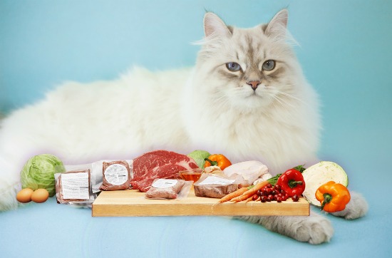 Balanced Blends Guide to Raw Feeding: De-Mystifying Pet Food Labels