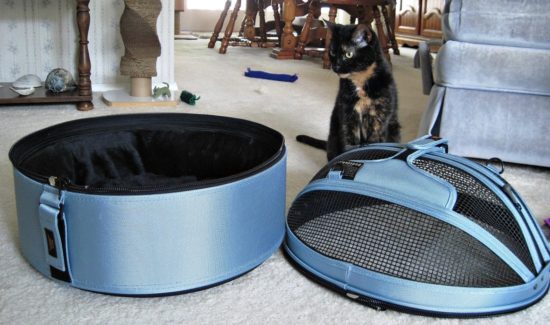 How to Make the Cat Carrier Attractive to Your Cat