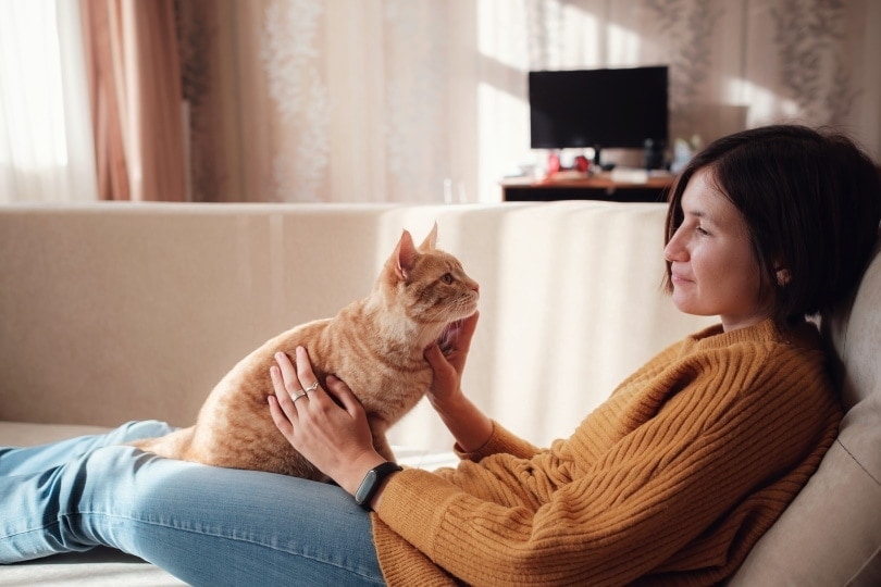 How to Teach a Cat to Be a Lap Cat: Tips & Tricks