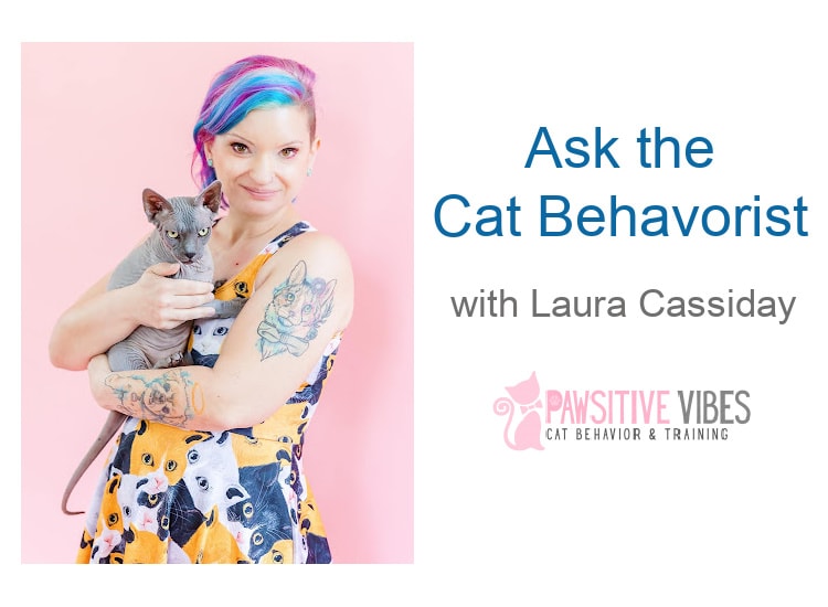 Ask the Cat Behaviorist with Laura Cassiday: Jealousy Between Cats, Feeding Frenzy, and More