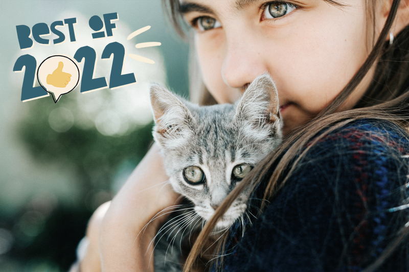 Here Are the Most Popular Cat Names of 2022