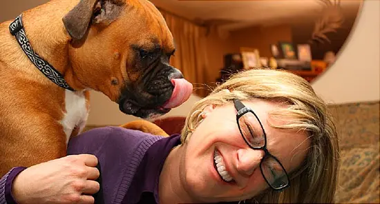 ‘Love Hormone’ May Strengthen the Dog-Human Bond