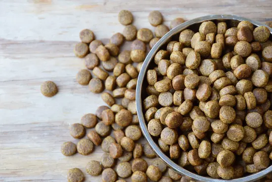 Recall: Pet Food Blamed in Death of 70 Dogs