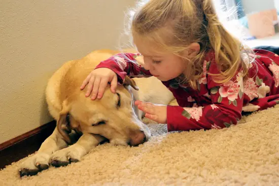 Does Having a Dog Make for Well-Adjusted Kids?