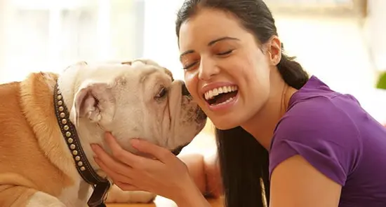 DNA Might Determine Whether You’re a Dog Lover