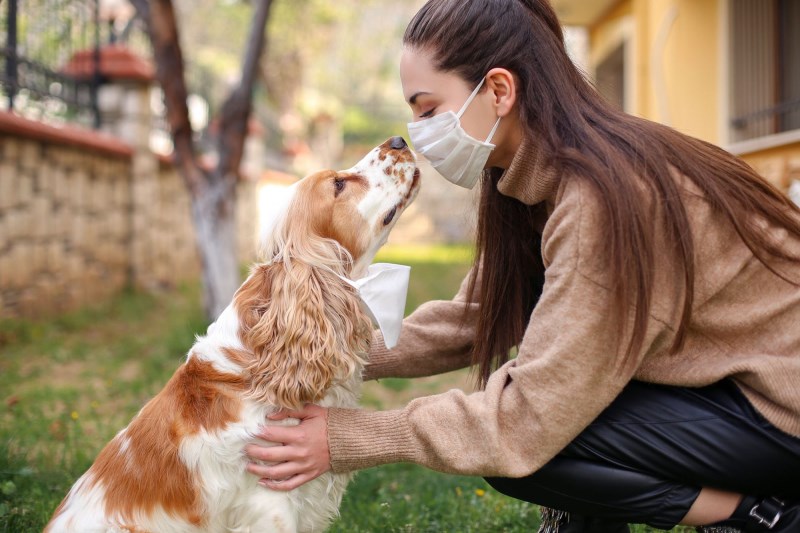 Is Your Dog Scared of People in Masks?