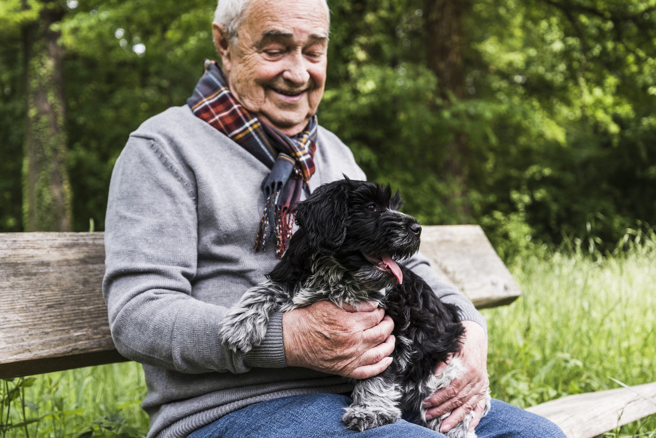 The Best Pets for Seniors