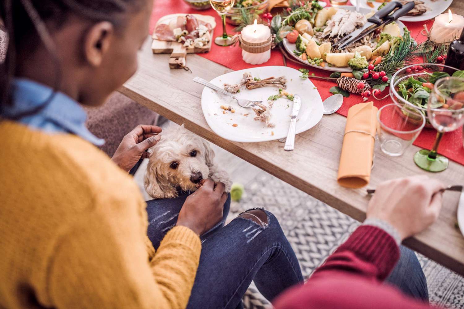 Can You Share Your Christmas Feast With Fido?